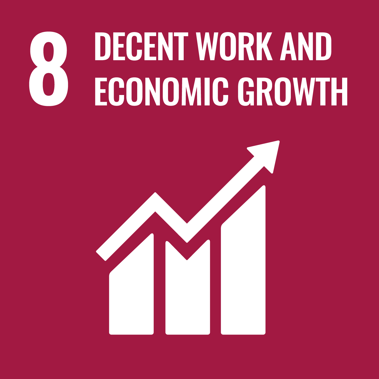 SDG 8: 